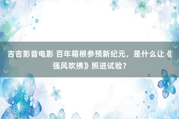 吉吉影音电影 百年箱根参预新纪元，是什么让《强风吹拂》照进试验？