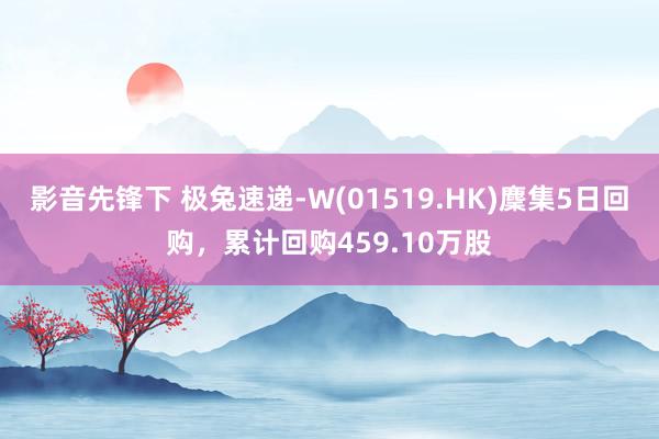 影音先锋下 极兔速递-W(01519.HK)麇集5日回购，累计回购459.10万股