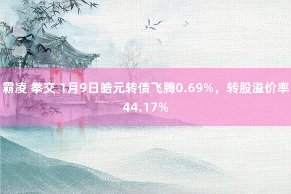 霸凌 拳交 1月9日皓元转债飞腾0.69%，转股溢价率44.17%