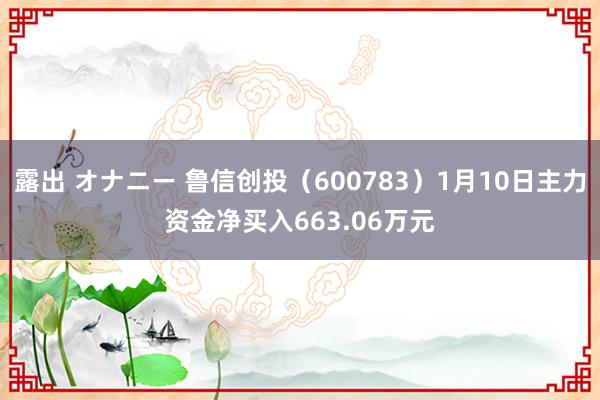 露出 オナニー 鲁信创投（600783）1月10日主力资金净买入663.06万元