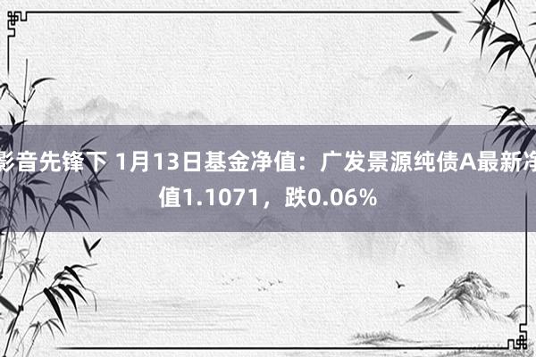 影音先锋下 1月13日基金净值：广发景源纯债A最新净值1.1071，跌0.06%